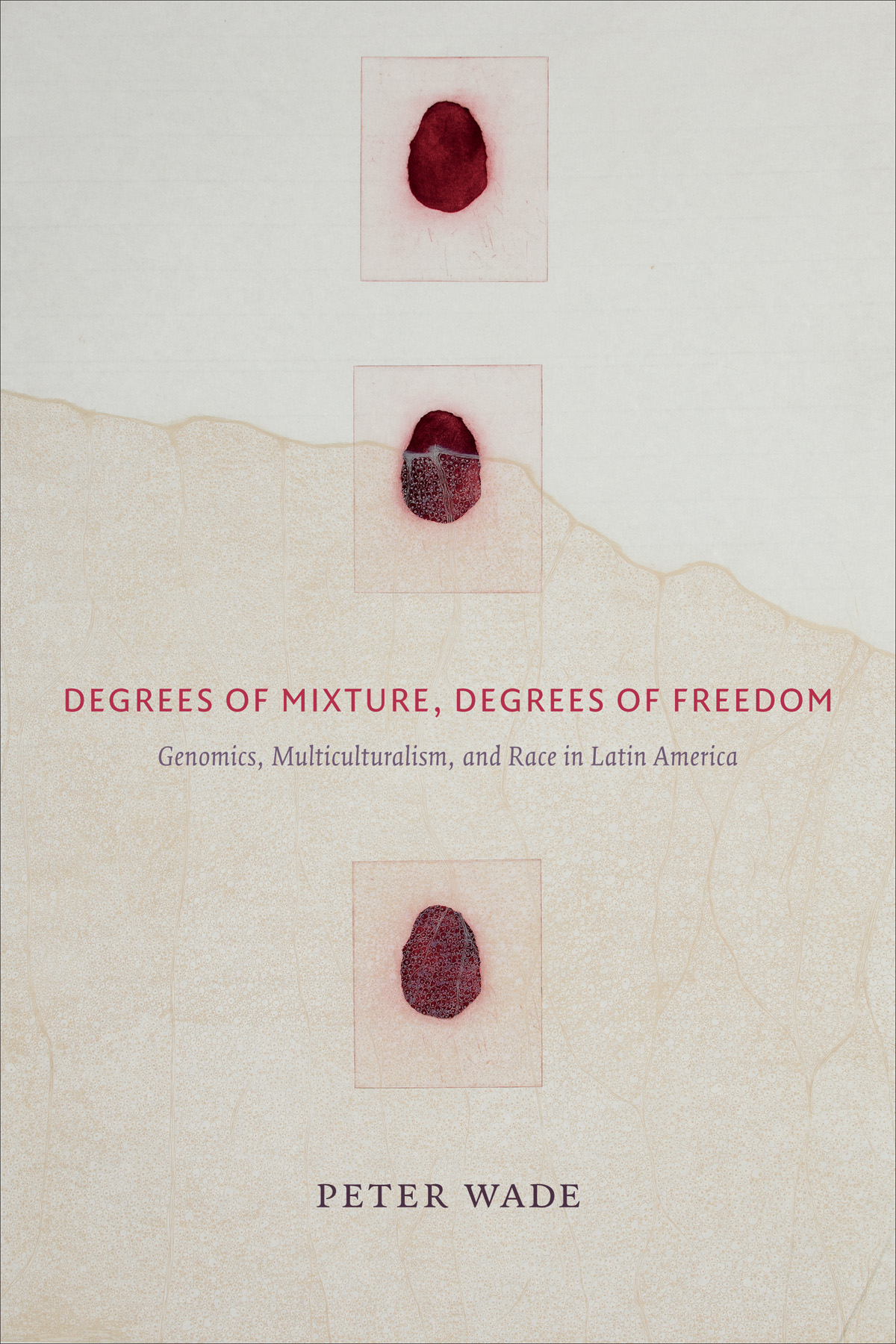 Degrees of Mixture, Degrees of Freedom: Genomics, Multiculturalism, and Race in Latin America(English)