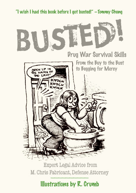 Busted!: Drug War Survival Skills: From The Buy To The Bust To Begging For Mercy(English)