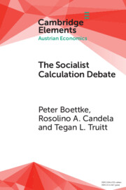 The Socialist Calculation Debate: Theory, History, and Contemporary Relevance(Elements in Austrian Economics)