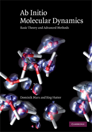 Ab Initio Molecular Dynamics: Basic Theory and Advanced Methods(English)