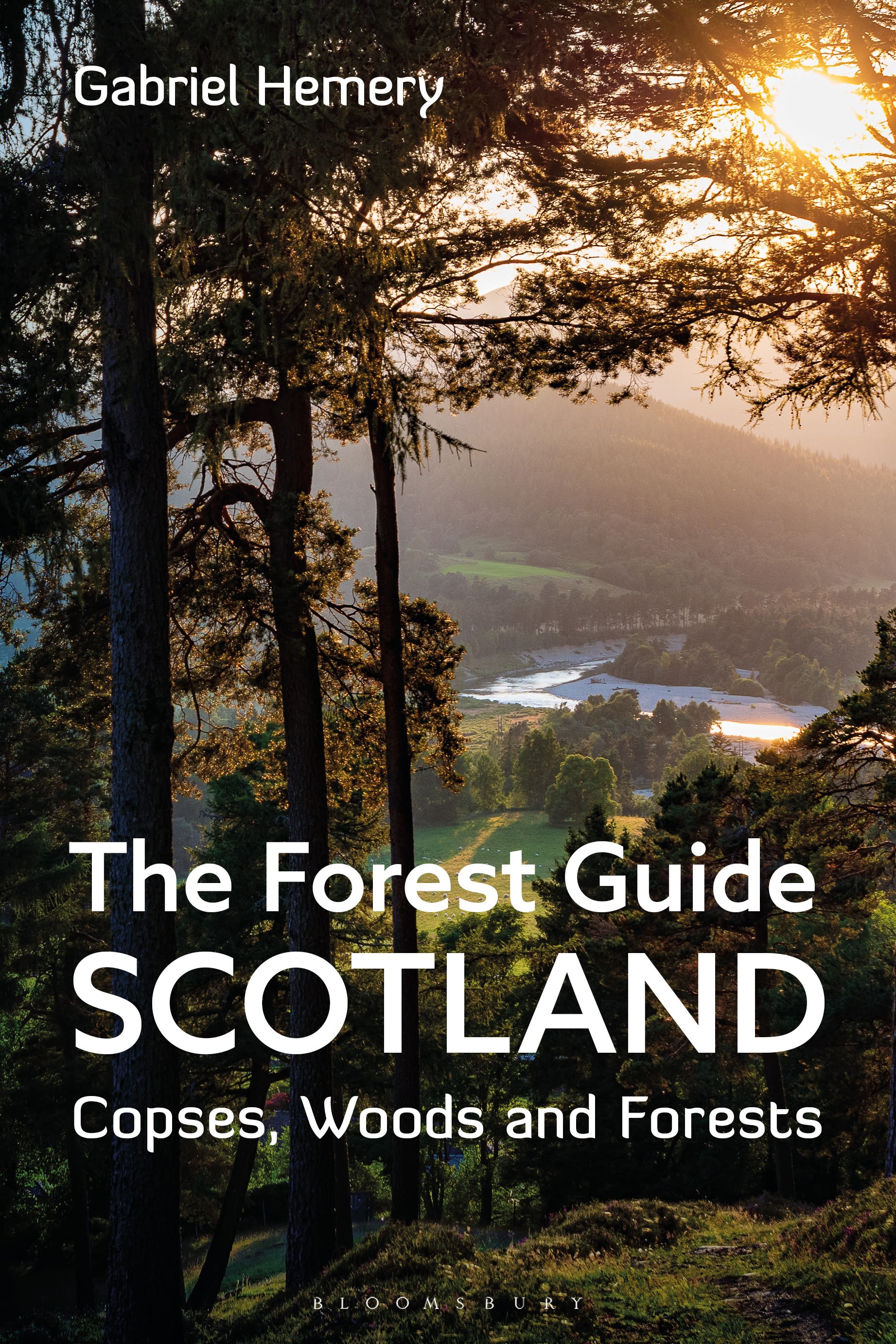 The Forest Guide: Scotland: Copses, Woods and Forests of Scotland(Forest Guides)
