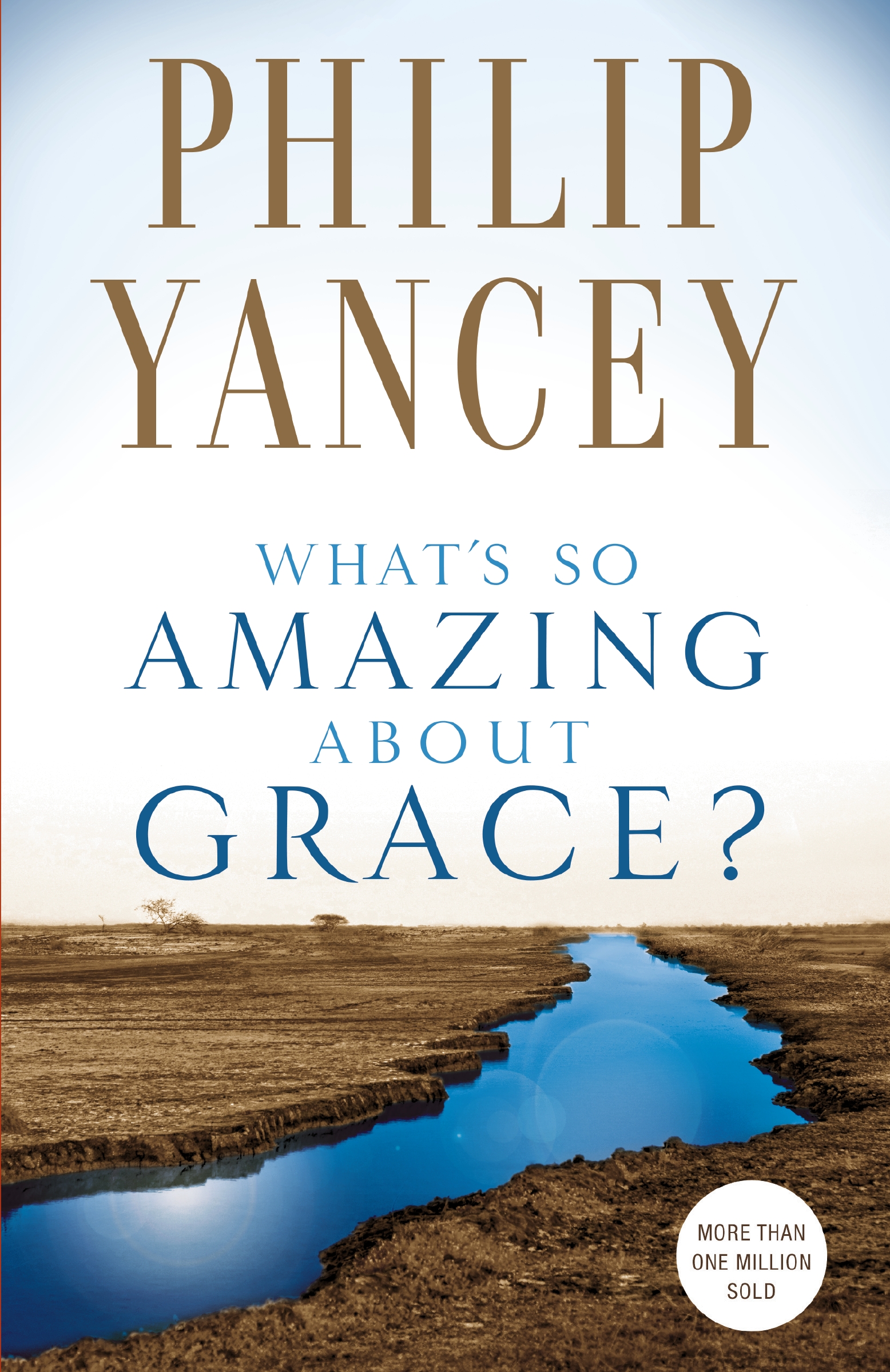 What's So Amazing About Grace?: (English)