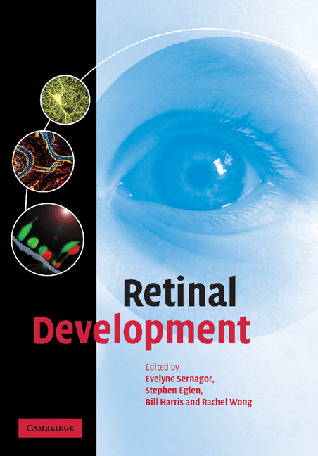 Retinal Development: (English)