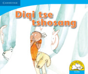 Diqi tse tshosang (Sesotho): (Little Library Numeracy)