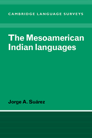 The Mesoamerican Indian Languages: (Cambridge Language Surveys)