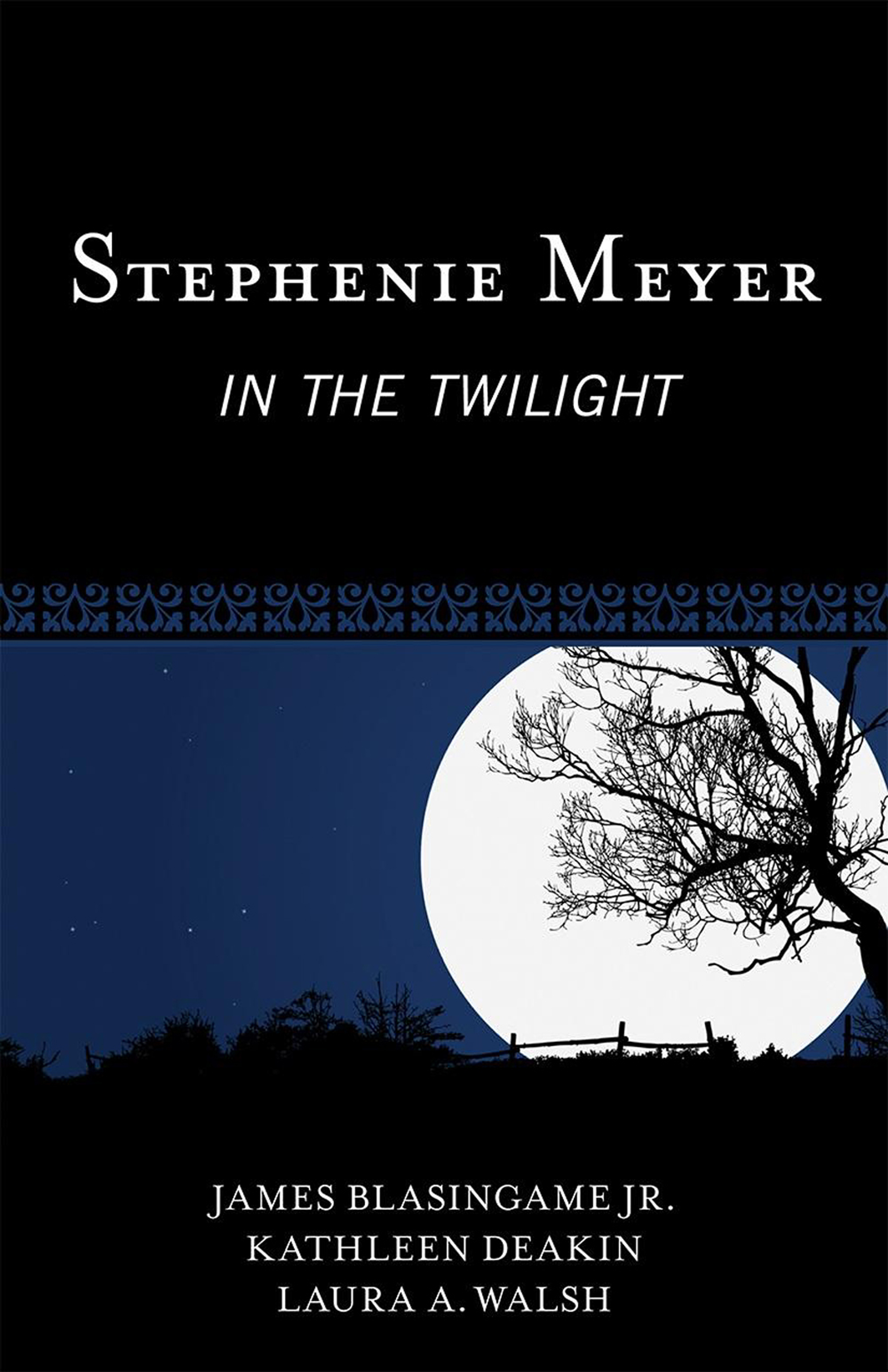 Stephenie Meyer: In the Twilight(Studies in Young Adult Literature)