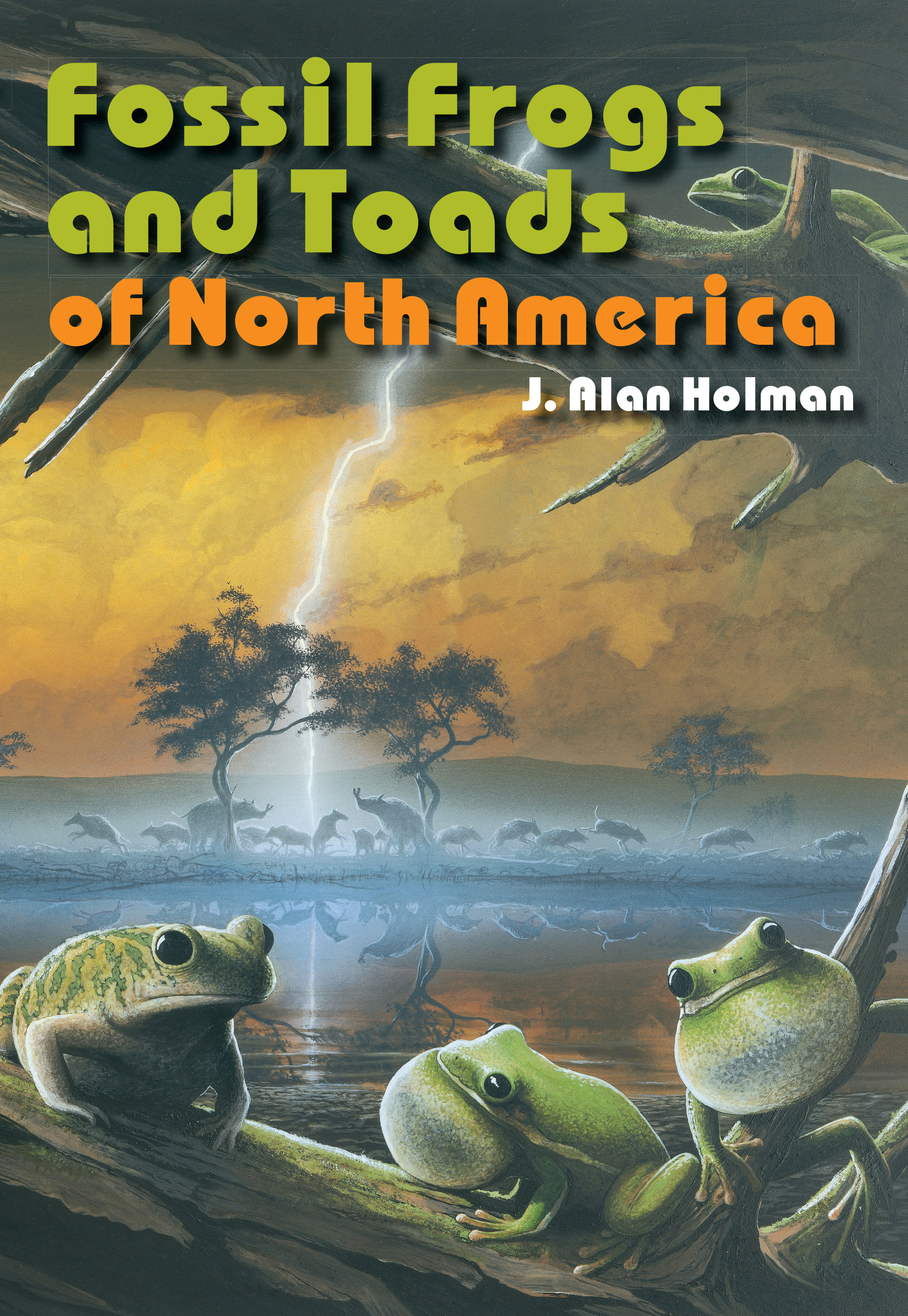 Fossil Frogs and Toads of North America: Time and the Moral Order of Flexible Capitalism(Life of the Past)