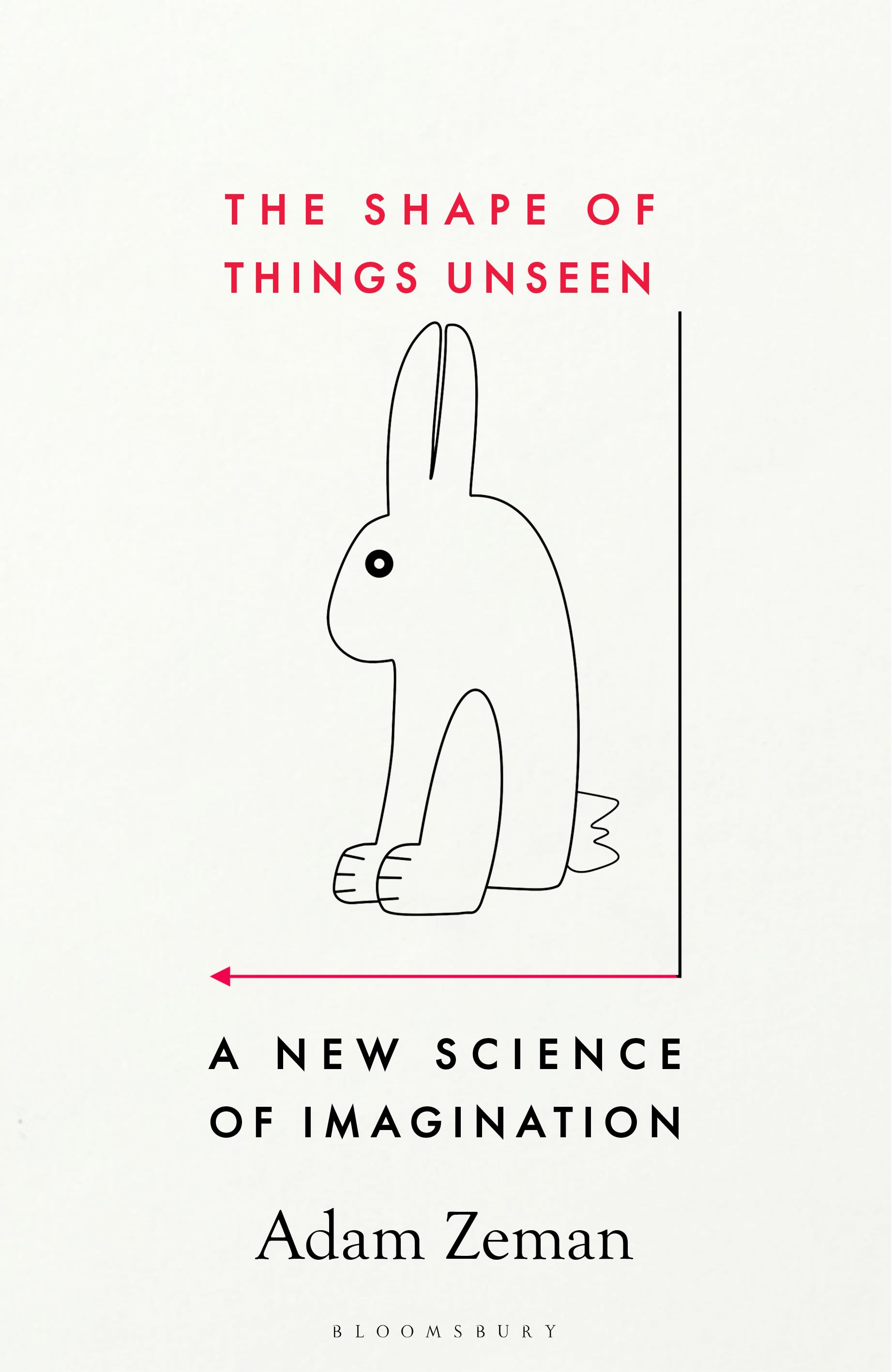 The Shape of Things Unseen: A New Science of Imagination