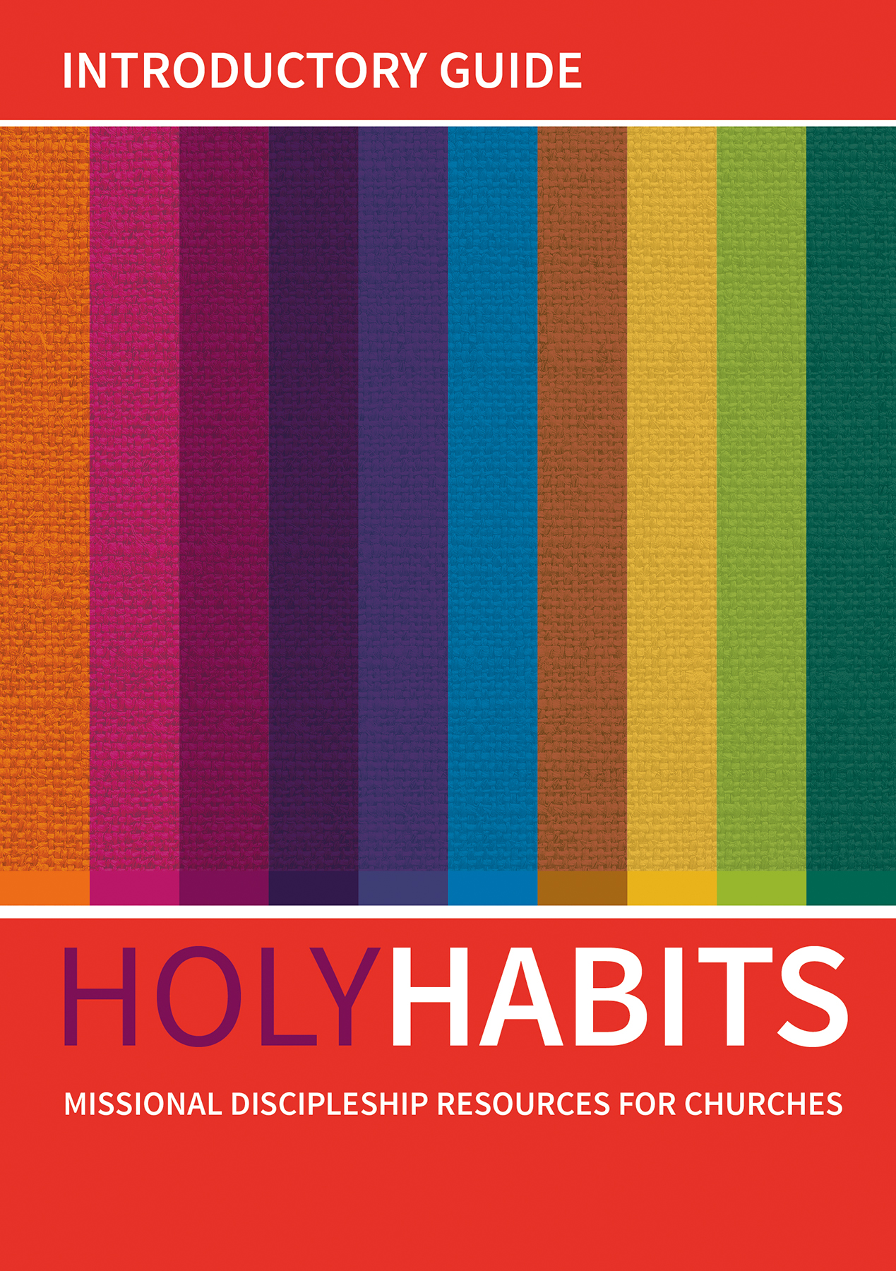 Holy Habits: Introductory Guide: Missional discipleship resources for churches(Holy Habits)