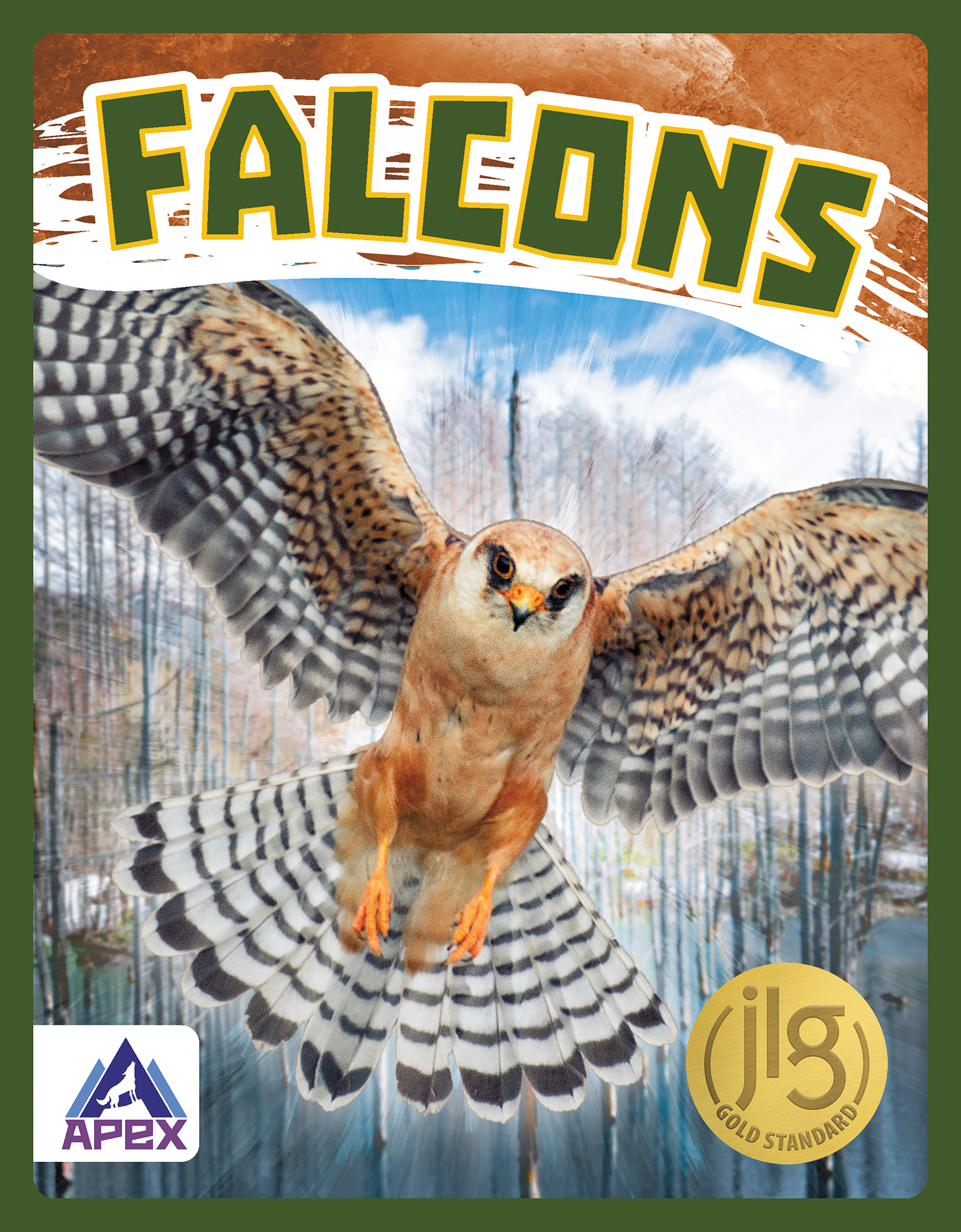 Falcons: (Birds of Prey)