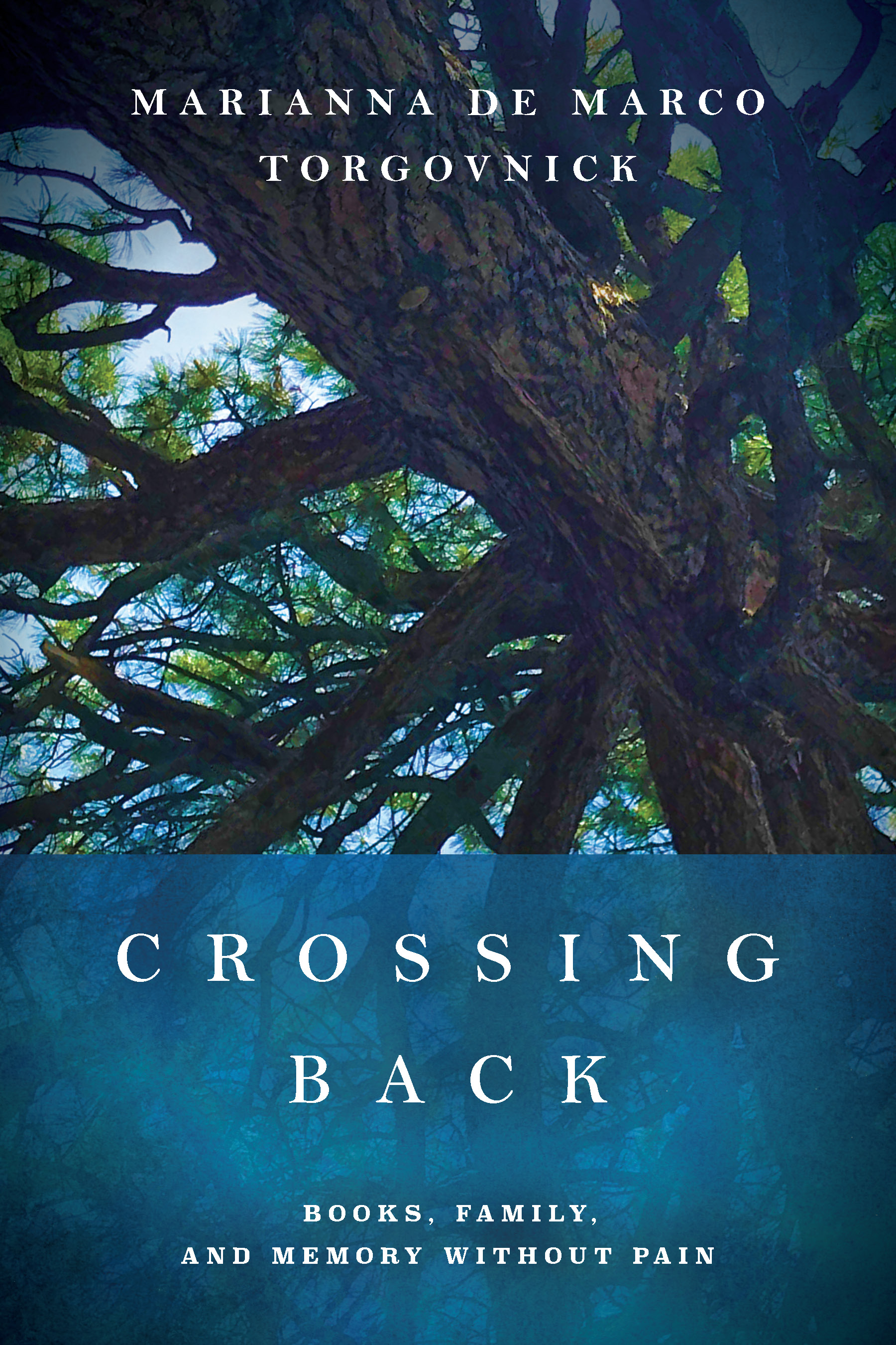 Crossing Back: Books, Family, and Memory Without Pain