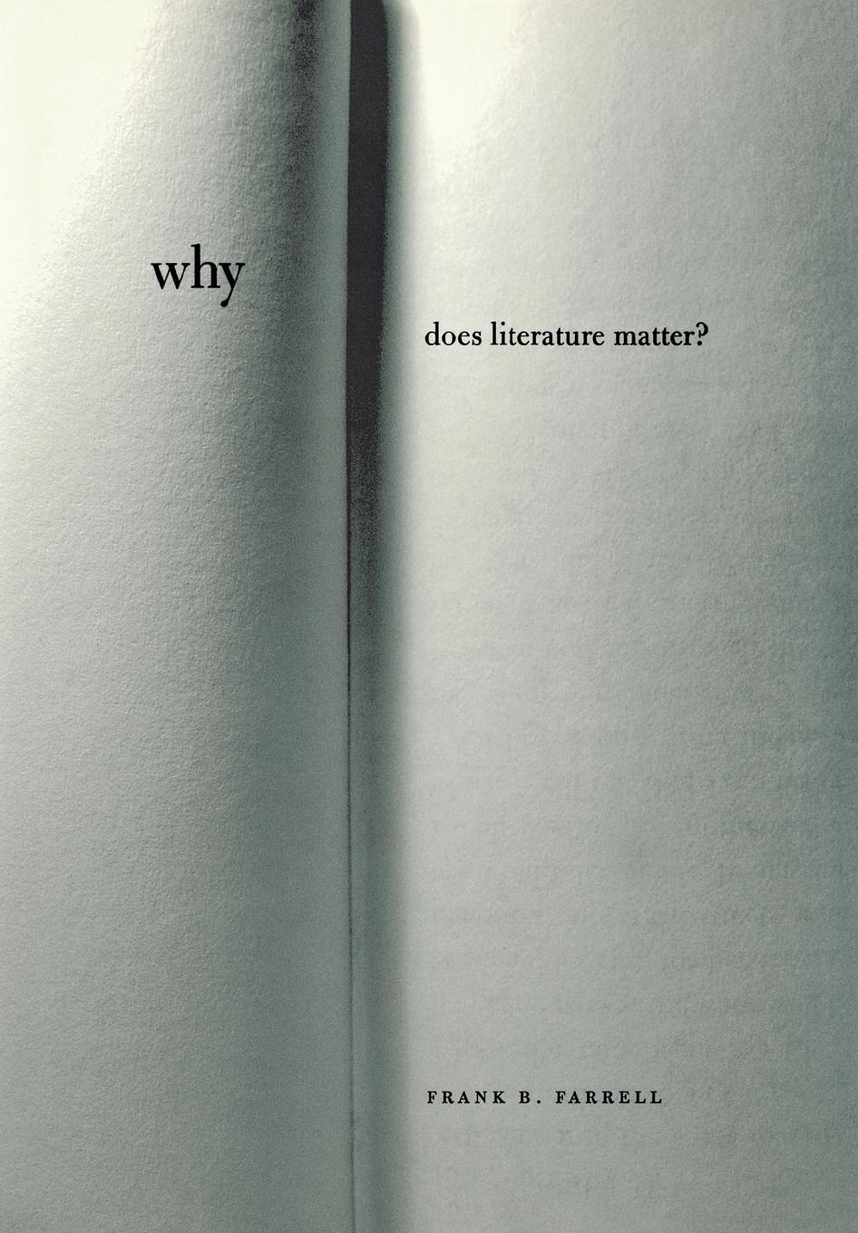 Why Does Literature Matter?: (Cornell Classics in Philosophy)