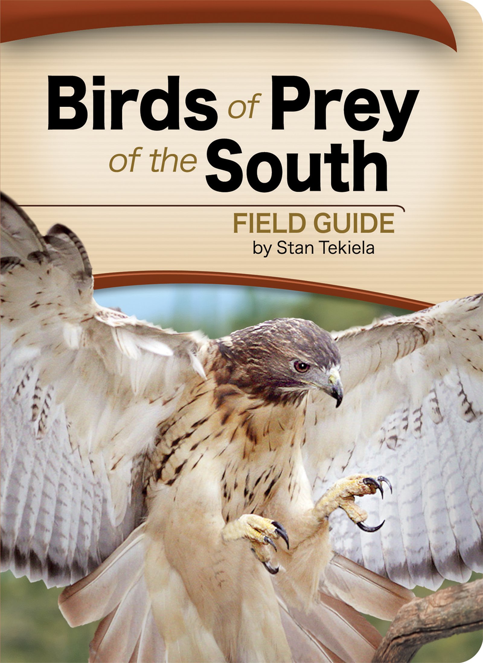 Birds of Prey of the South Field Guide: (Bird Identification Guides)