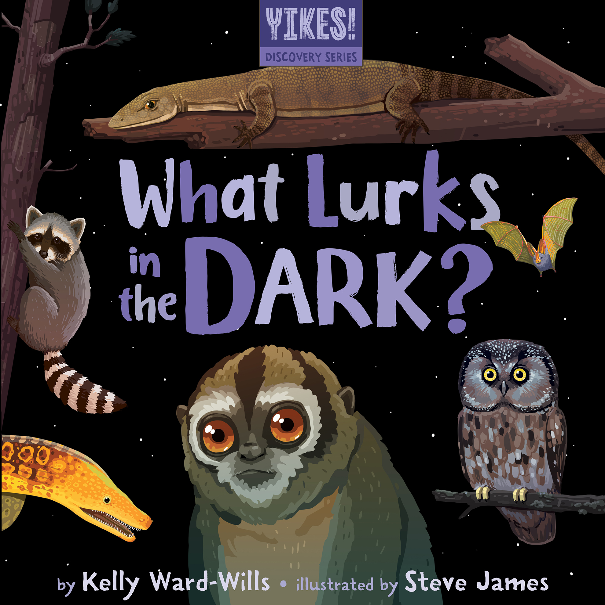What Lurks in the Dark?: (Yikes! Discovery Series)