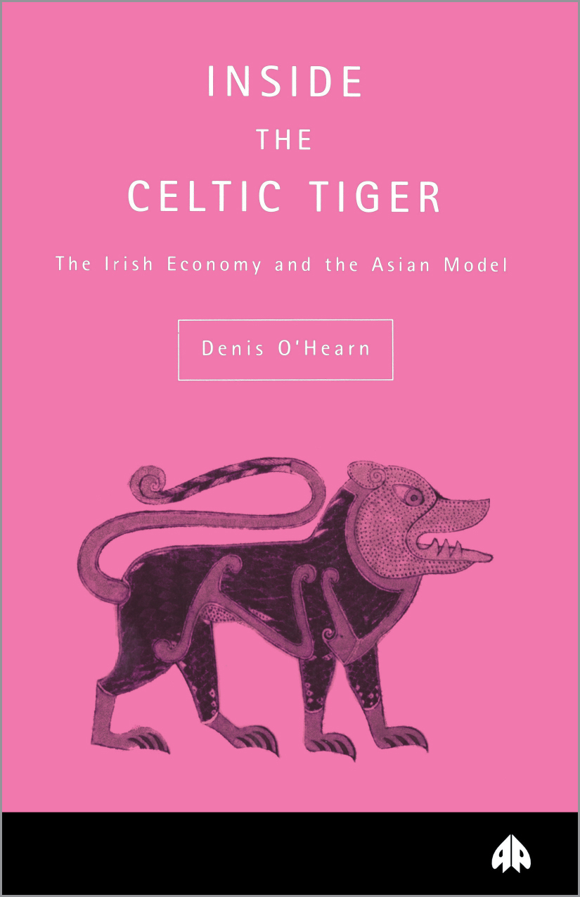 Inside the Celtic Tiger: (Contemporary Irish Studies)