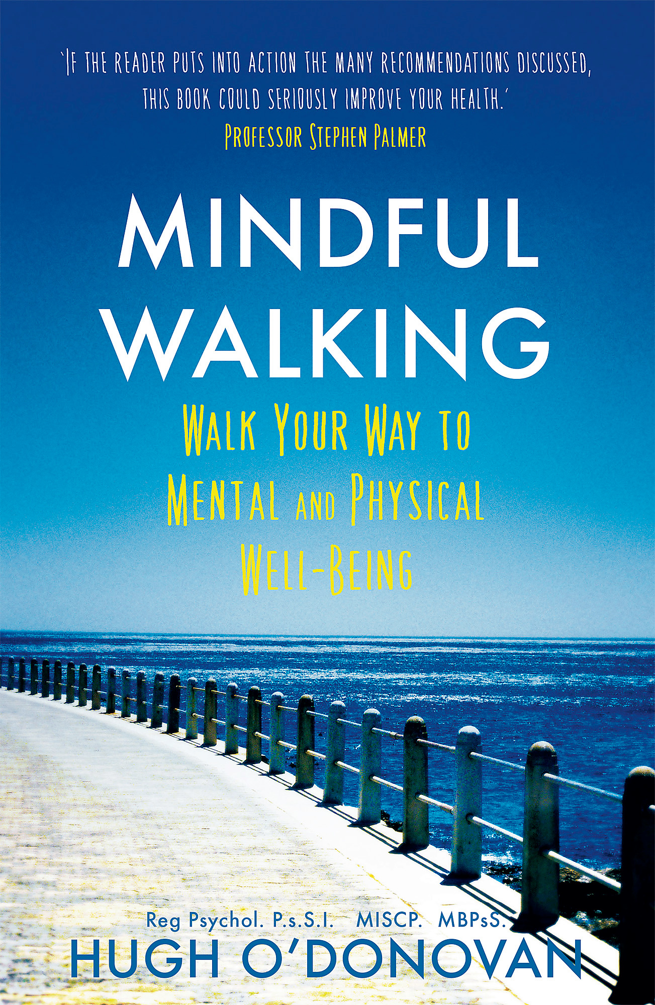 Sur L'Integration Des Equations Aux Derivees Partielles Du Premier Ordre (1869): (French)