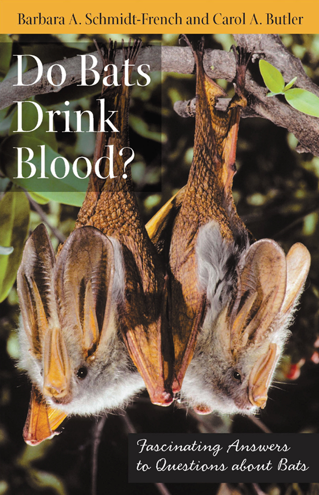 Do Bats Drink Blood?: Fascinating Answers to Questions About Bats(Animals Q & a)