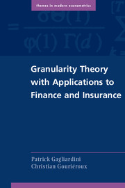 Granularity Theory with Applications to Finance and Insurance: (Themes in Modern Econometrics)
