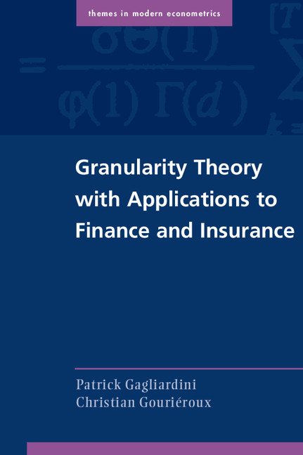 Granularity Theory with Applications to Finance and Insurance: (Themes in Modern Econometrics)