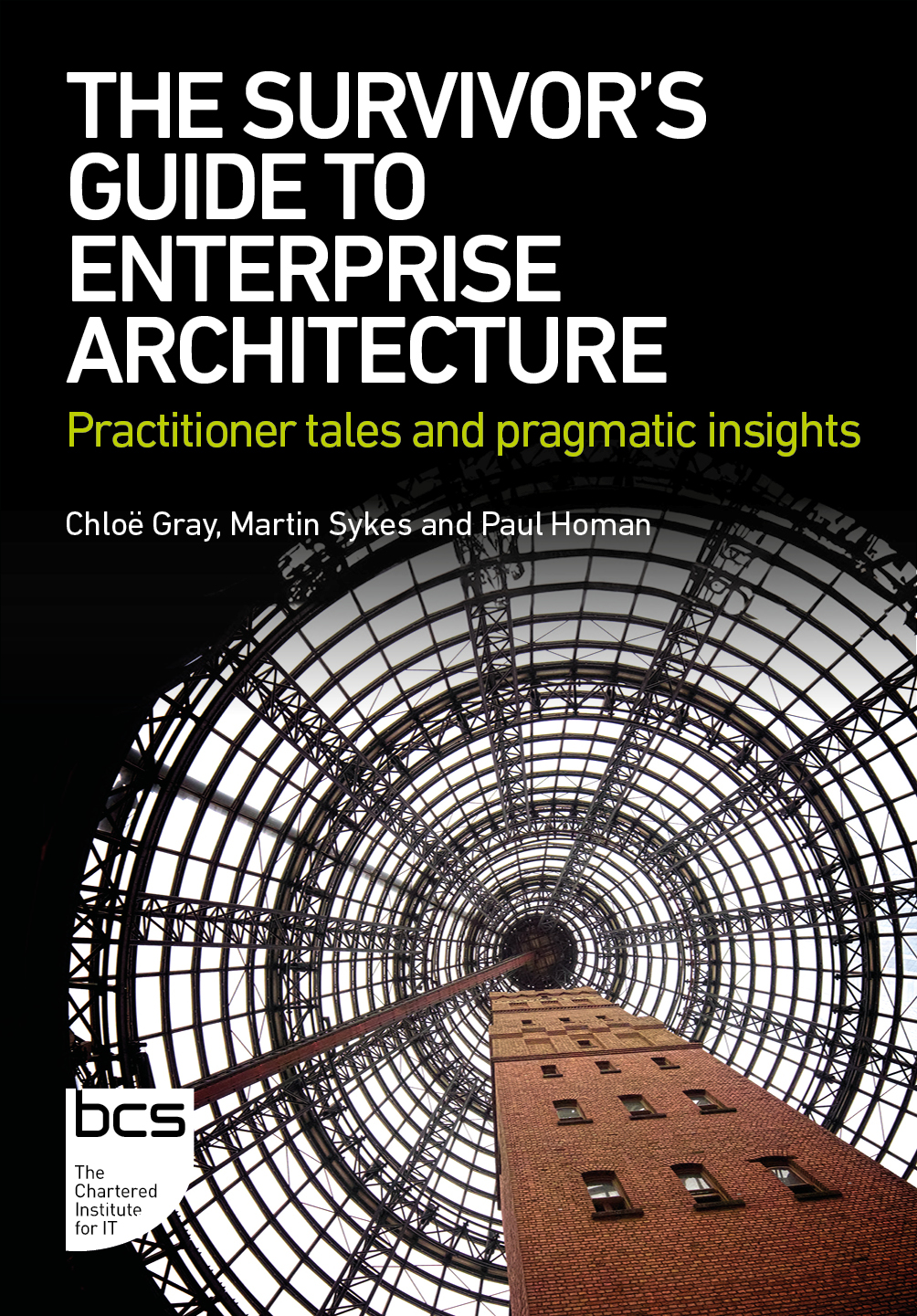 The Survivor's Guide to Enterprise Architecture: Practitioner tales and pragmatic insights
