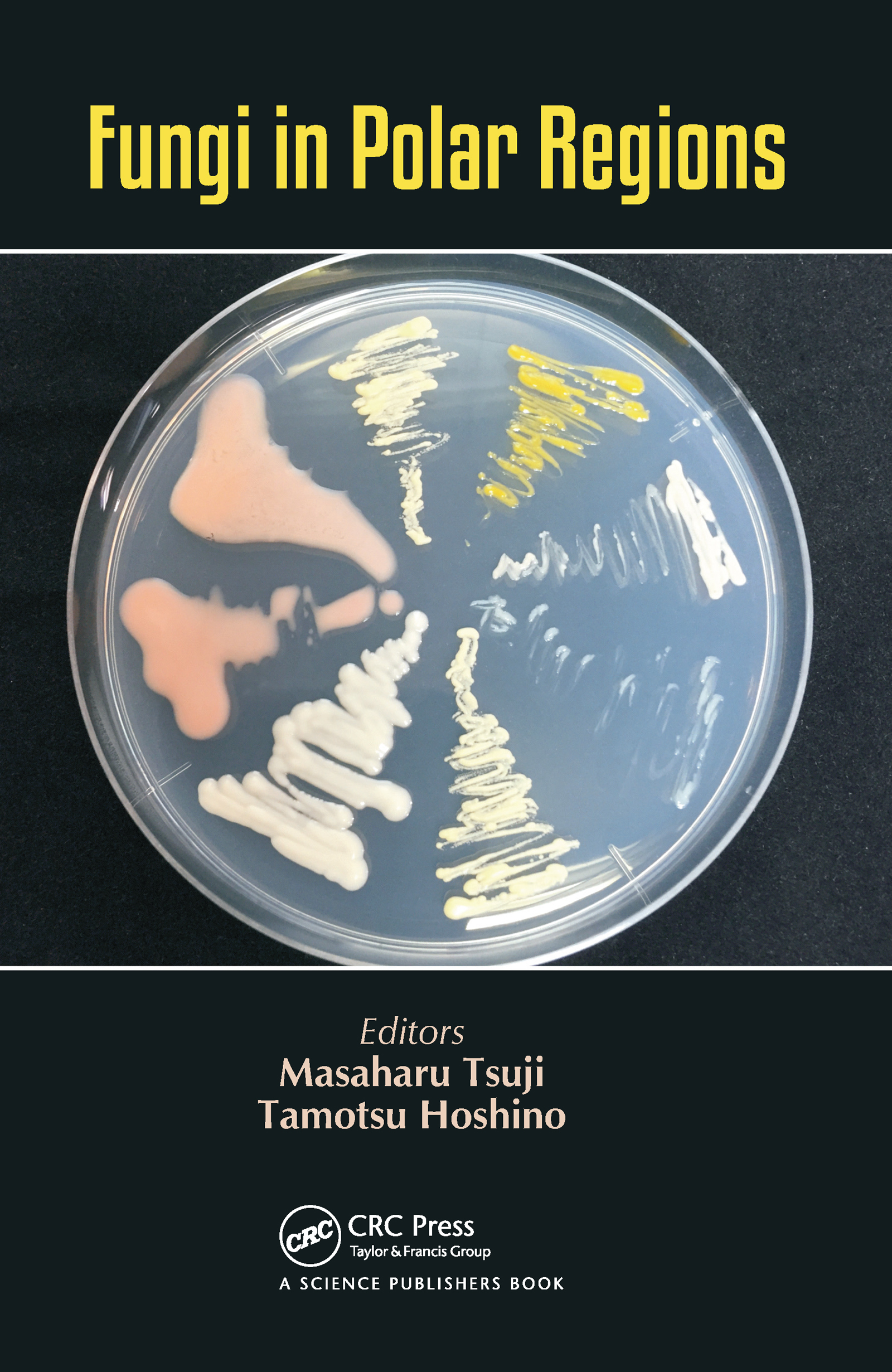 Der Gläubigerschutz bei der englischen Limited im Vergleich zur GmbH: (German)