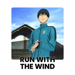 promo-best-seller/books-Run-with-the-Wind/95814740FEE7