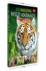221 Amazing Wild Animals Encyclopedia