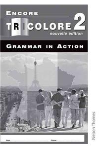 Encore Tricolore Nouvelle 2 Grammar in Action Workbook Pack (X8)