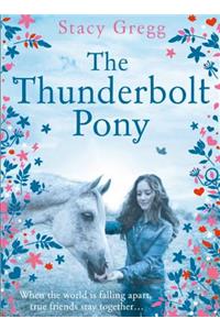 The Thunderbolt Pony
