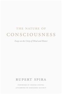 The Nature of Consciousness