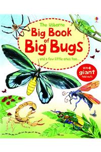 The Usborne Big Book of Big Bugs: And a Few Little Ones Too...