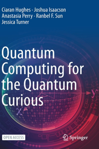 Quantum Computing for the Quantum Curious