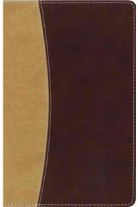Amplified Holy Bible, Compact, Leathersoft, Tan/Burgundy