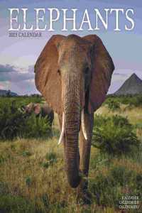 Elephants 2023 Wall Calendar