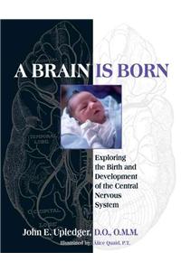 Brain Is Born