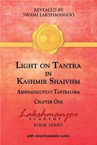 Light on Tantra in Kashmir Shaivism