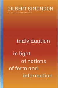 Individuation in Light of Notions of Form and Information