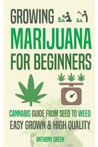 Growing Marijuana for Beginners: Cannabis Growguide - From Seed to Weed
