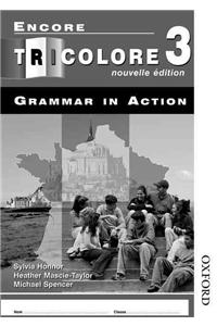 Encore Tricolore Nouvelle 3 Grammar in Action Workbook Pack (X8)