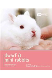 Dwarf & Mini Rabbits.