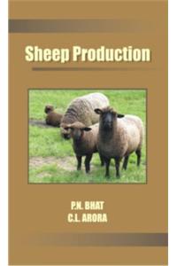 Sheep Production