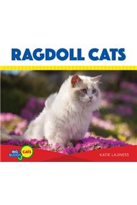 Ragdoll Cats