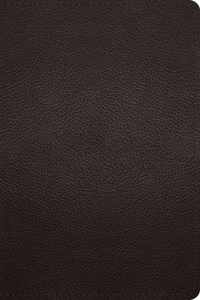 ESV Large Print Personal Size Bible, Red Letter