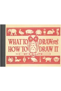 What to Draw and How to Draw It