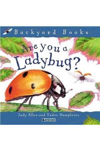 (HM)Backyard:Are You a Ladybird