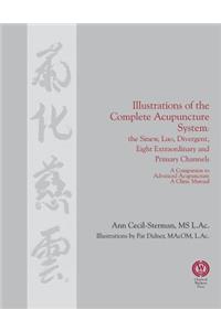 Illustrations of the Complete Acupuncture System