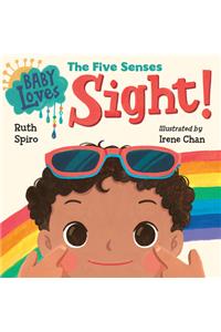 Baby Loves the Five Senses: Sight!