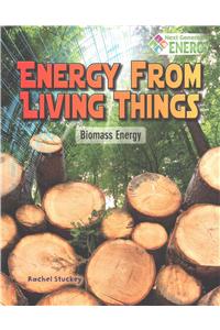 Energy from Living Things: Biomass Energy
