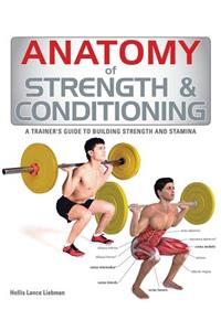 Anatomy of Strength & Conditioning