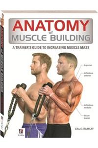 Anatomy of Muscle Building